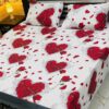 3 Pcs printed cotten bedsheet 2022