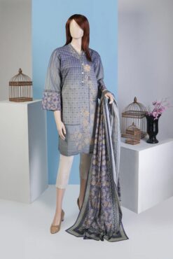 Saya einter embroidered dhanak collections 2023