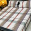 3 Pcs printed cotten bedsheet 2022