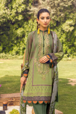 Salitex embroidered Winter dhanak collections 2023