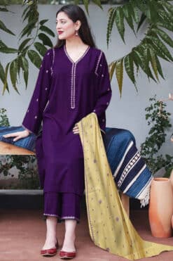 Aisling By Nirmal 3Pcs Embroidered Dhanak Collection 2023